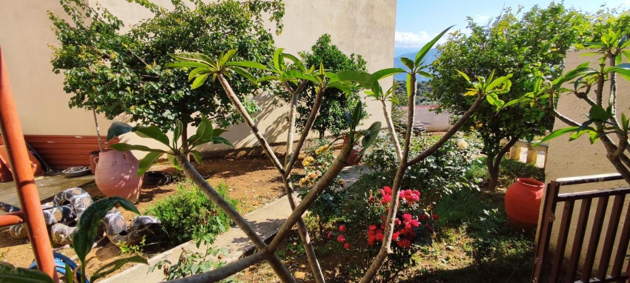 Village House With A Nice Garden Sternai Exterior photo